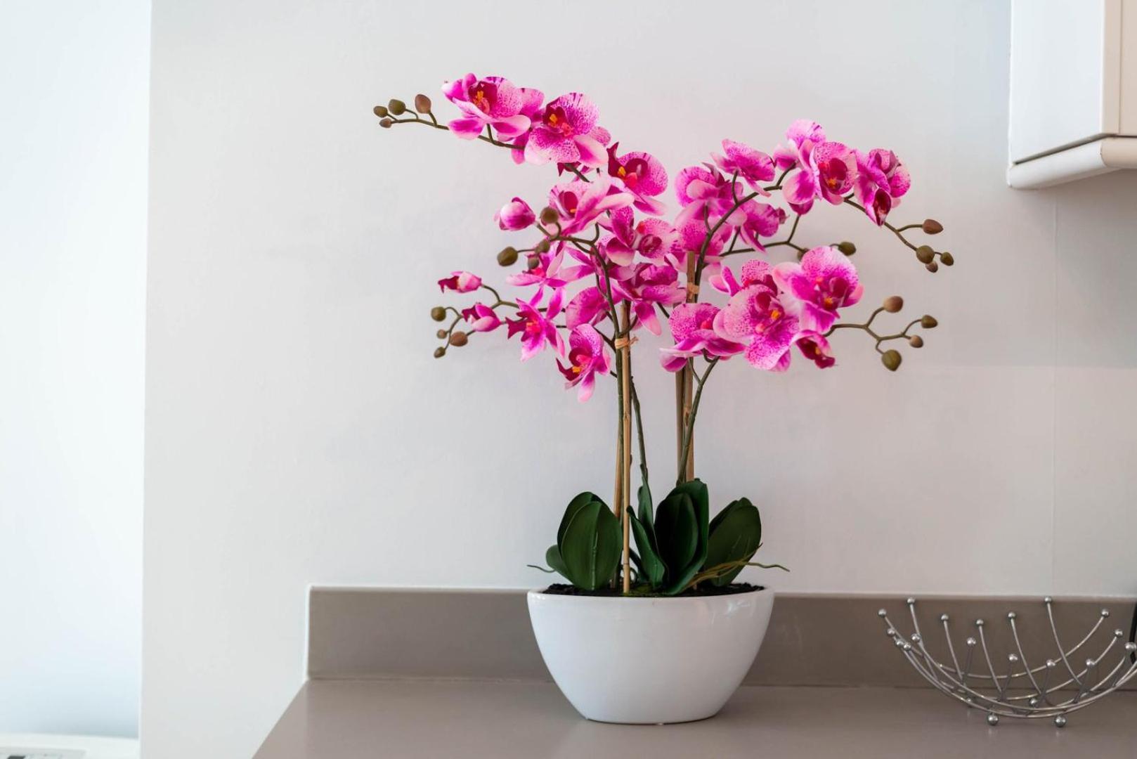 דירות לונדון Guestready - Stunning Covent Garden 2Br Duplex מראה חיצוני תמונה